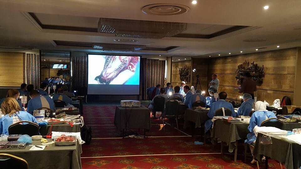 Σεμινάριο θεωρητικής χρήσης, απλών και προχωρημένων εφαρμογών πιεζοχειρουργικής