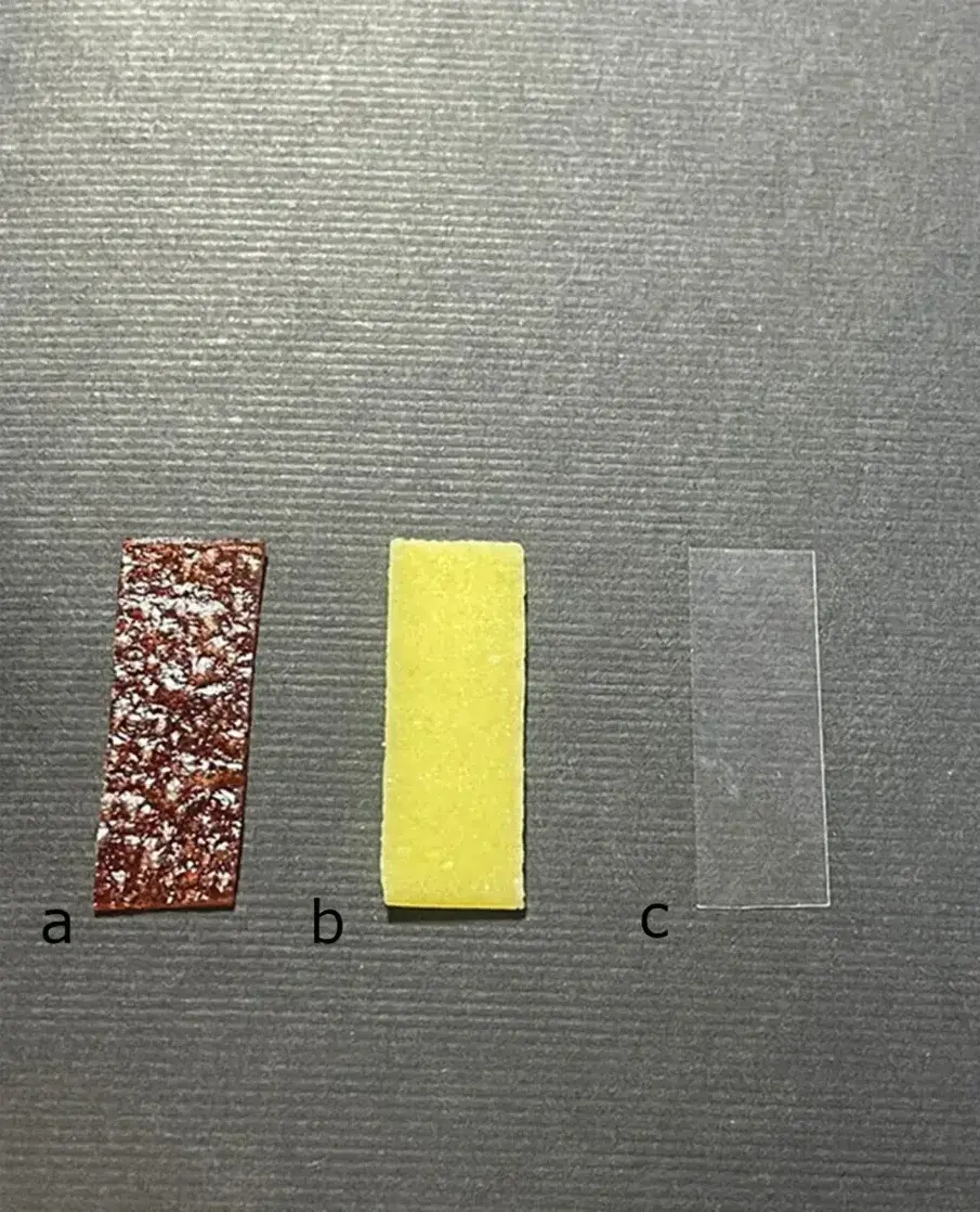 Kisela voćna koža (debljina: 1 mm; a), žvakaća guma (debljina: 1 mm; b) i  celuloidna traka (debljina: 5 μm; c). (Slika: © 2024 Mokhtari et al., Časopis za medicinske znanosti o zračenju, licenciran pod CC BY 4.0)
