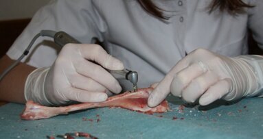 Ocena porównawcza stabilizacji pierwotnej implantów tytanowych i cyrkonowych