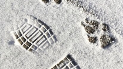 Column Erik Ranzijn: Winterslaap