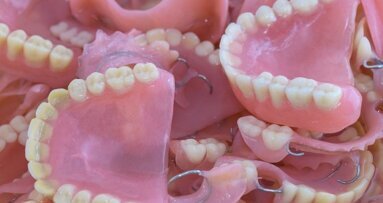 Column Bart Admiraal: De leeuw en schoonloeder