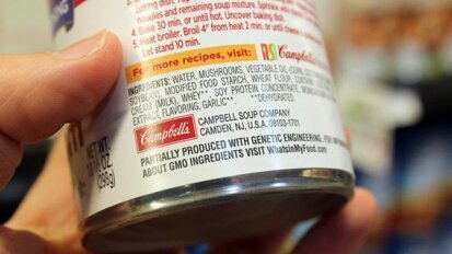 „Zachowaj Równowagę!”