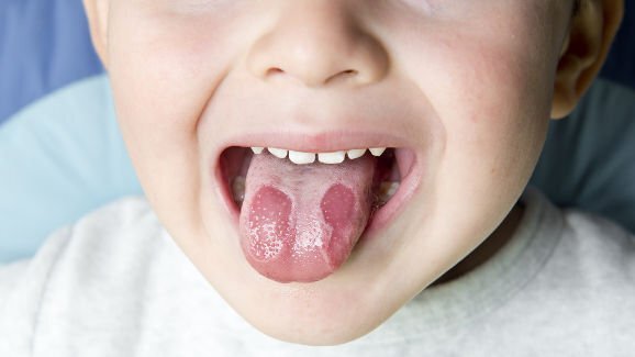 La langue géographique : de nouvelles découvertes