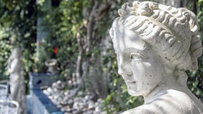 Doctor, ¿es solo por estética o por función?