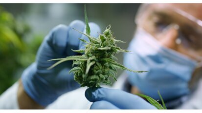 Frequent cannabisgebruik geeft risico op cariës en tandverlies