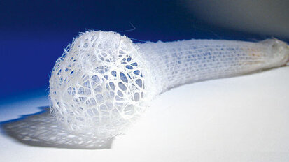 Nanotechnik mittels Tiefseebiomineralien