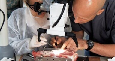 Pierwsi absolwenci programu prof. Hurzler’a