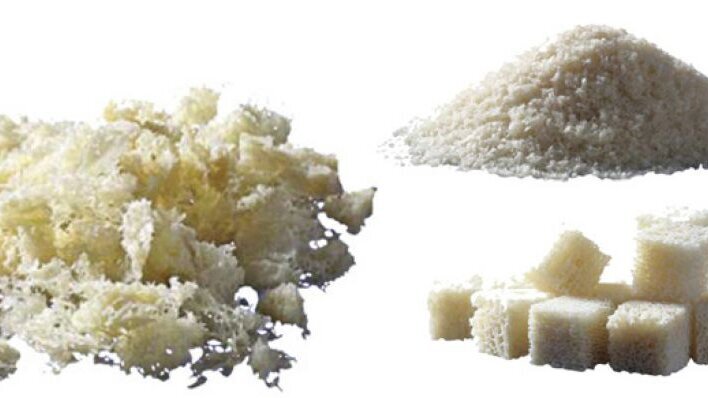 Allogreffes biologiques utilisées en dentisterie