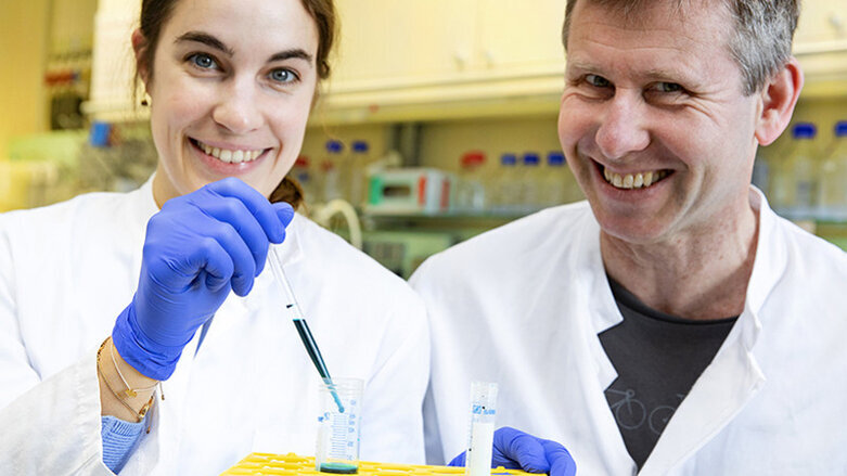 Bakterien & Immunzellen: Gegenseitige Kontrolle im Zahnfleisch