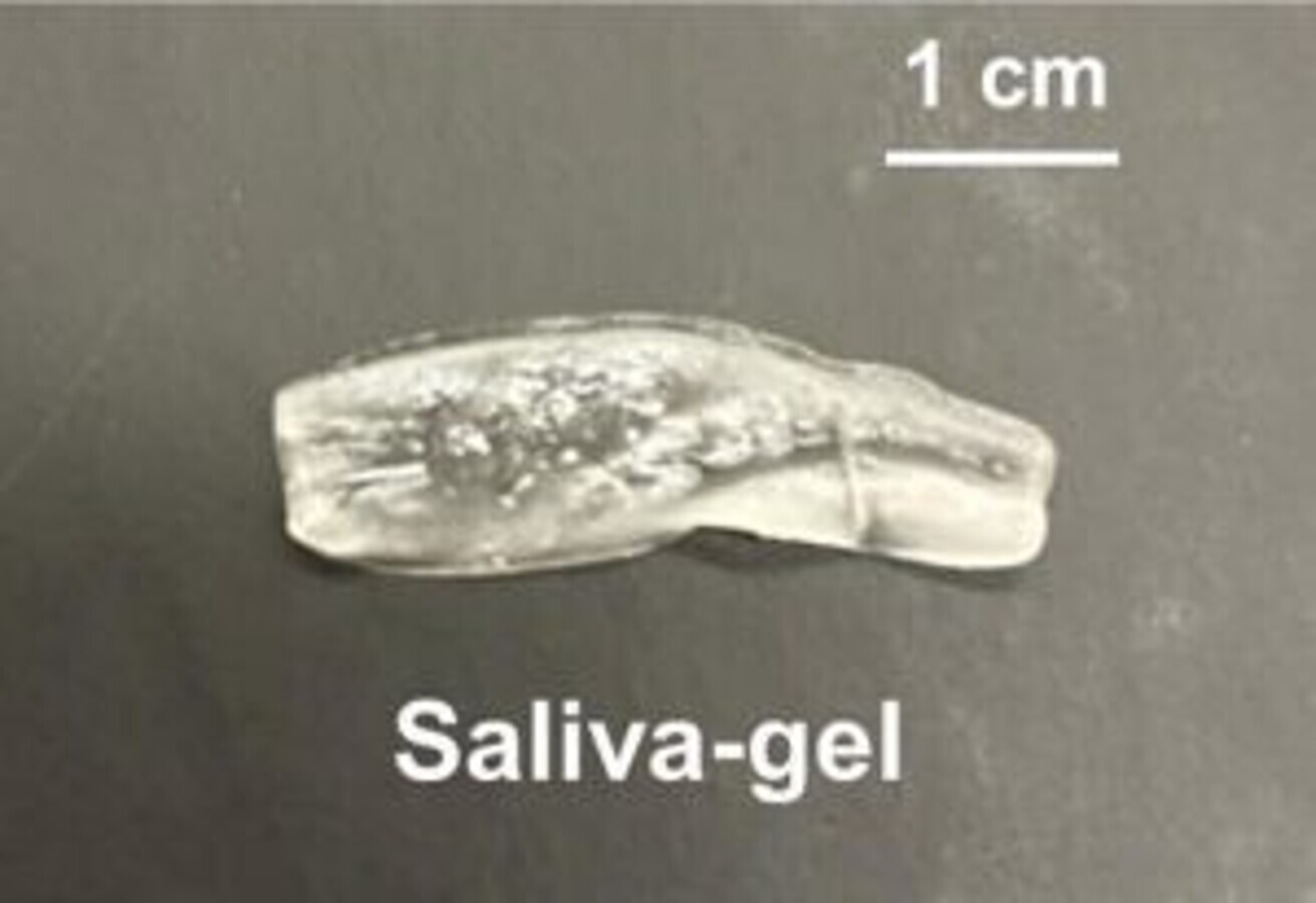 è¿ç§ç±æ®æ¸¡å¤§å­¦ç ç©¶äººåç åçå°ååè¶ç¶ç»æè½å¤å¸æ¶å¹¶éæ¾äººå·¥å¾æ¶²ãï¼å¾çæ¥æºï¼ç¾å½åå­¦ä¼ï¼