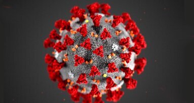 La carga viral en el pronóstico de Covid-19