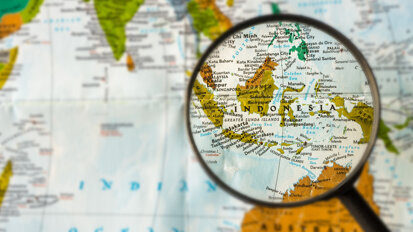 Change and opportunity in the Indonesian health care sector