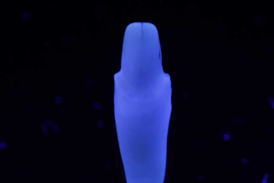 Fig. 13a: Light dynamics of natural teeth under fluorescent light.