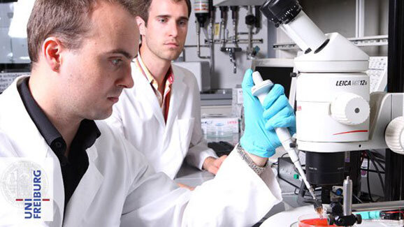 Das Bakterium in der Laser-Falle