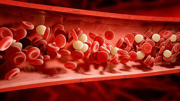 Il paziente scoagulato e cardiopatico in odontoiatria