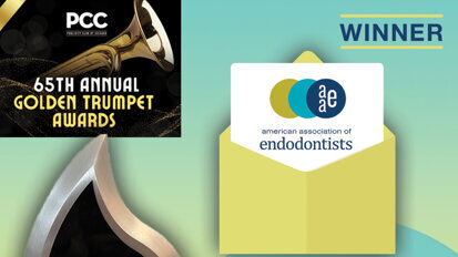 AAE wins Silver Trumpet Award for Instagram presence