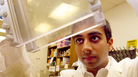 Blue lights stop oral tumours growing