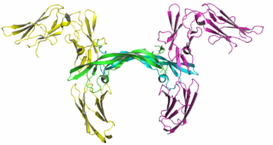 Nowy paradygmat dla wewnątrzustnych procedur regeneracyjnych