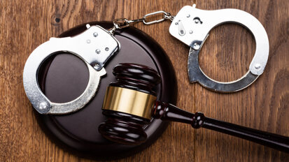 Convicted hoverboard-riding dentist will serve 12 years in jail Convicted hoverboard-riding dentist will serve 12 years in jail