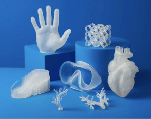Elastic 50A Resin for Flexible, Translucent 3D Printed Anatomy