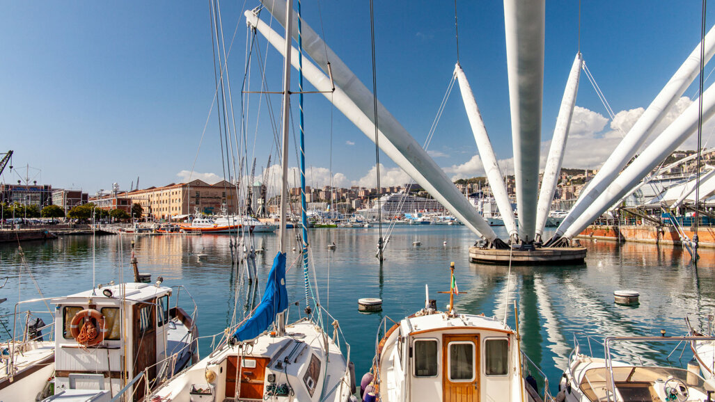 LA LAMINA CORTICALE 2° EDIZIONE