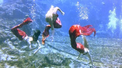 La ciudad de las sirenas