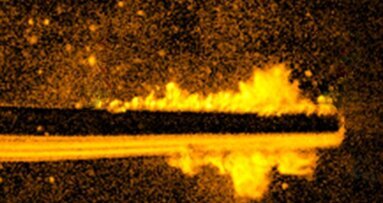 Cientistas britânicos emocionam-se sobre inovação na pesquisa sobre desencrustrador