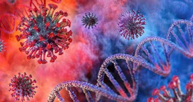 Studie: Mit Ultraschall gegen Coronaviren