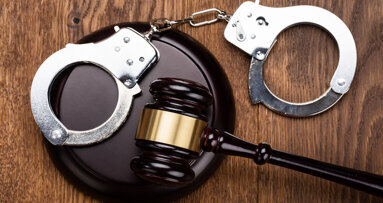 Convicted hoverboard-riding dentist will serve 12 years in jail