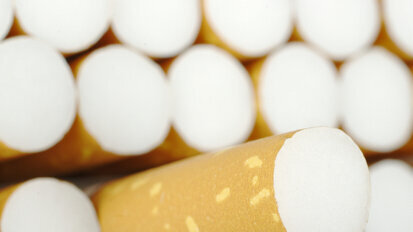 Forscher produzieren Aids-Antikörper aus Tabak Forscher produzieren Aids-Antikörper aus Tabak