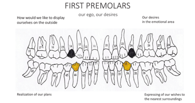 What do our teeth betray about us?—Part II