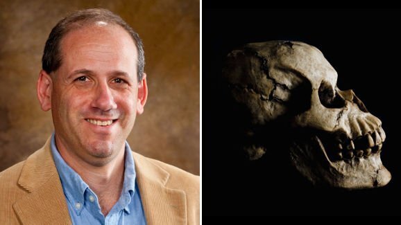 Nova pesquisa confirma relação entre desgaste dos dentes e dieta em fósseis