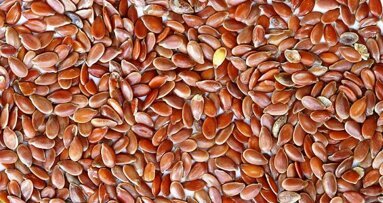 Polscy naukowcy opracowali bakteriobójczy żel do leczenia ran