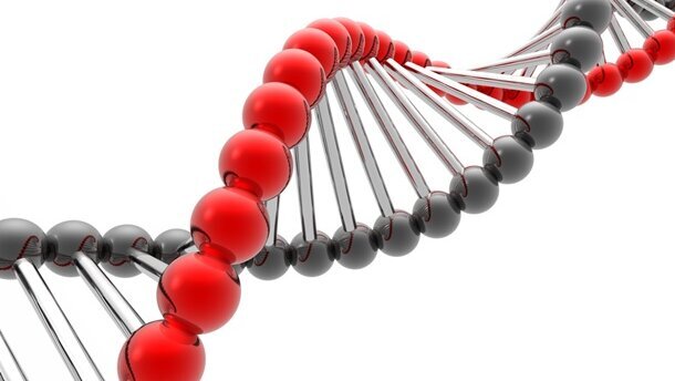 Neue Genorte für Lippen-Kiefer-Gaumenspalte entdeckt