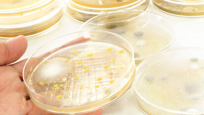 New research aims to stop biofilm from forming