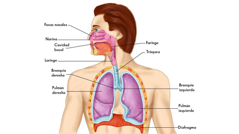 El papel de la inflamación en los trastornos del sueño