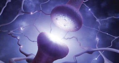 The breakthrough science of blocking pain