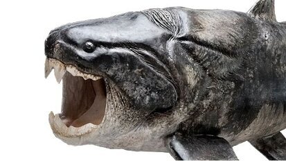 Учени откриват произхода на зъбите