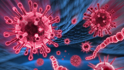 Immunzellen bekämpfen Parodontitis Immunzellen bekämpfen Parodontitis