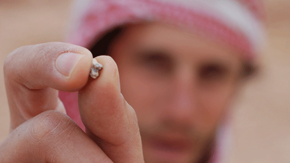 Fossiler Zahn belegt Marschroute von Affen