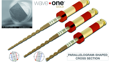 Shaping canals with confidence: WaveOne GOLD single-file reciprocating system