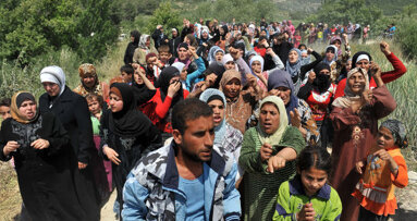 New hope for Syrian refugee dentist