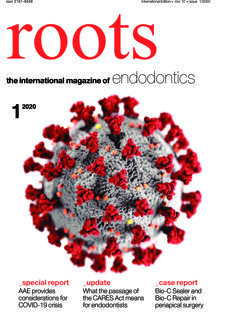 roots C.E. No. 1, 2020 roots C.E. No. 1, 2020