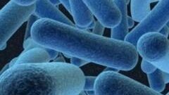 Oralne bakterije mogu biti odgovorne za infekcije koje se prenose hranom