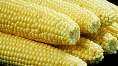 „Warzywna” szczoteczka do zębów?