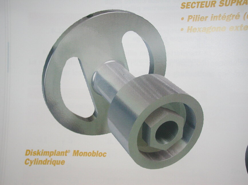 Fig.2b : implant spécifique : Diskimplant (Photo : EPSON )