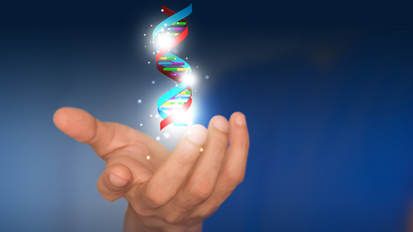 Gaumenspalte: Forscher klären genetische Ursache