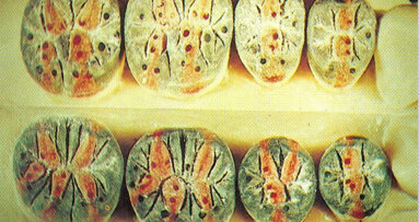 Analisi dell’evoluzione del concetto di occlusione