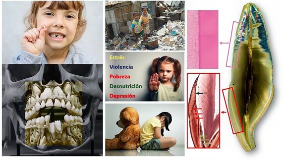 Los dientes, guardianes silenciosos de nuestra salud