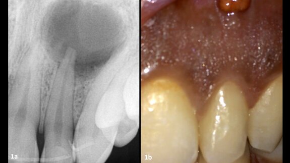 One system, different motions for daily challenges